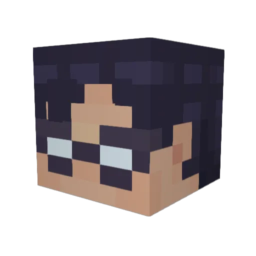 Fladnac Minecraft avatar head, 3D render