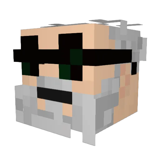 Flagermause Minecraft avatar head, 3D render