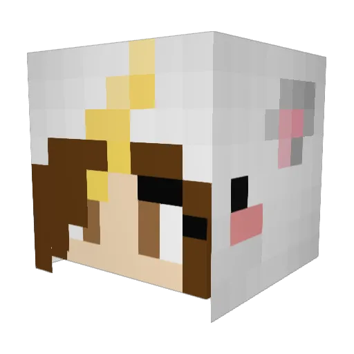 Flaiider Minecraft avatar head, 3D render