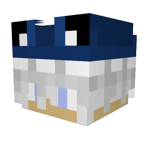 FlailingShark Minecraft avatar head, 3D render