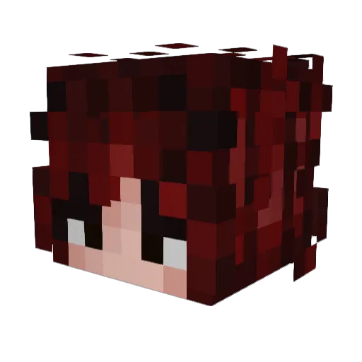 Flaimsie Minecraft avatar head, 3D render