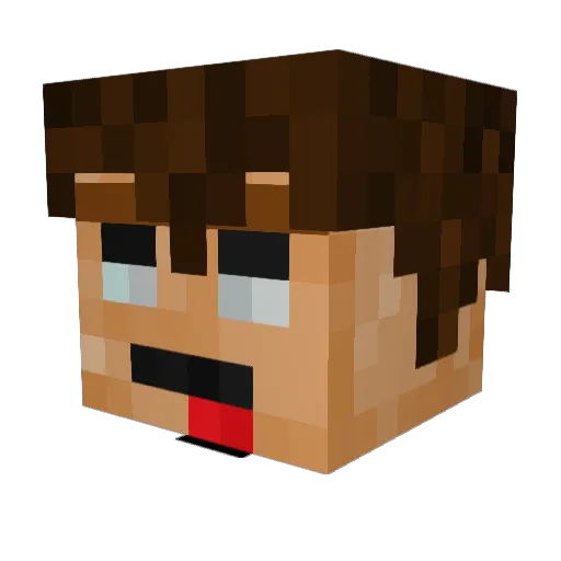 FlairBot Minecraft avatar head, 3D render