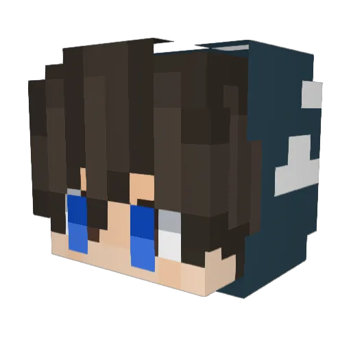 Flak445 Minecraft avatar head, 3D render
