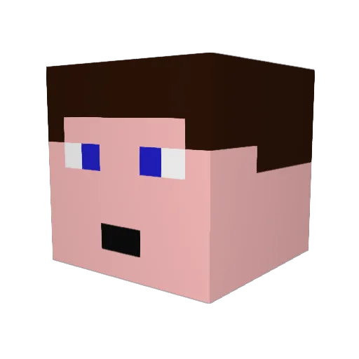 Flake453 Minecraft avatar head, 3D render