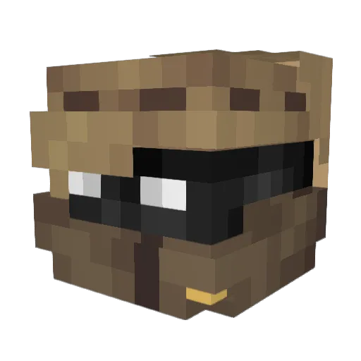 Flake_thebetch Minecraft avatar head, 3D render