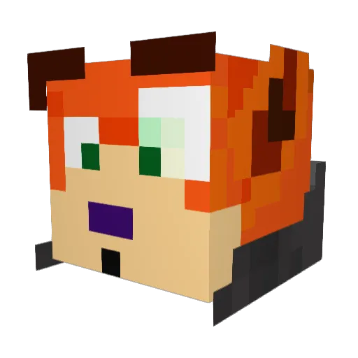 FlakyFly Minecraft avatar head, 3D render