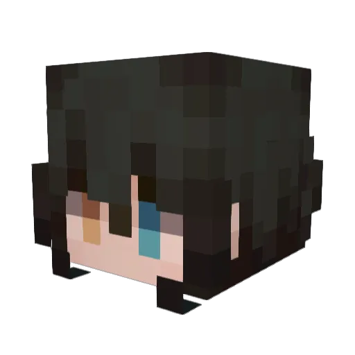 Flam_Ins0mniac Minecraft avatar head, 3D render