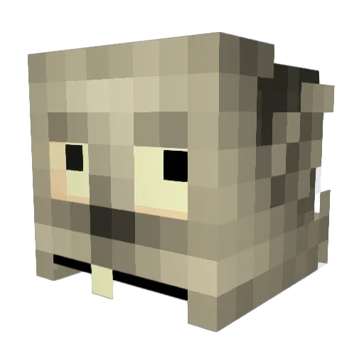 Flama_Langus1234 Minecraft avatar head, 3D render