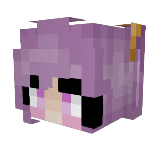 Flamberk Minecraft avatar head, 3D render