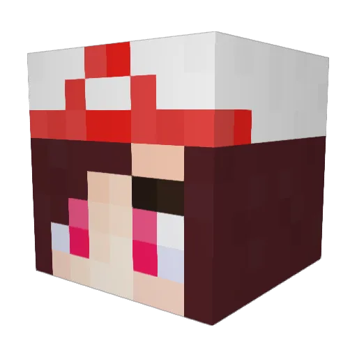 Flame256 Minecraft avatar head, 3D render
