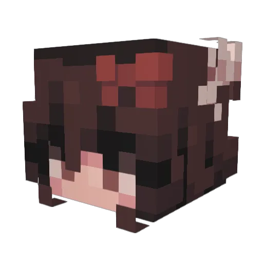 Flame5555 Minecraft avatar head, 3D render