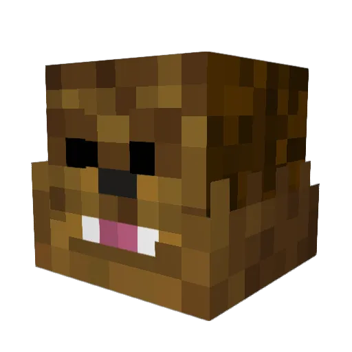 FlameBacca Minecraft avatar head, 3D render