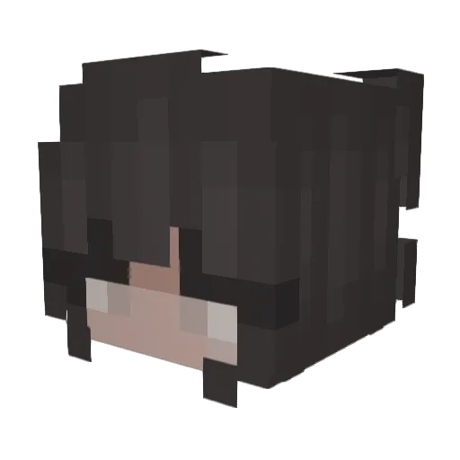 FlameBirch Minecraft avatar head, 3D render