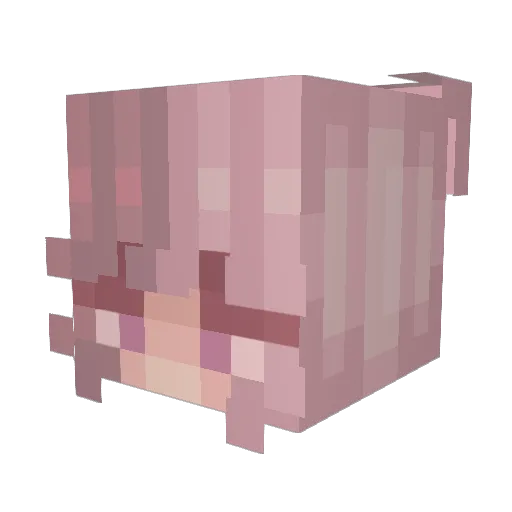 FlameDabrave Minecraft avatar head, 3D render