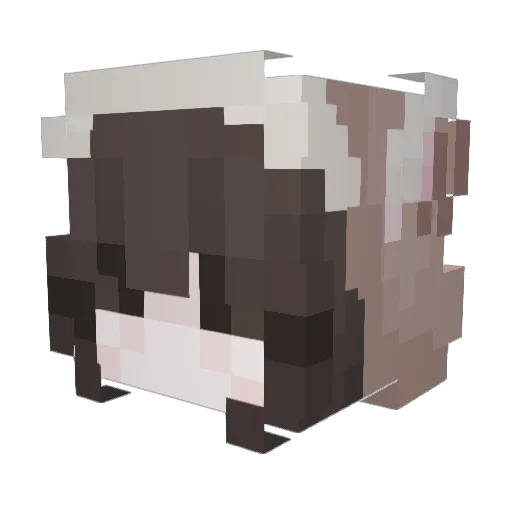 FlameDragon6408 Minecraft avatar head, 3D render