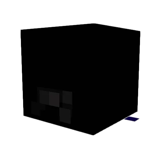 FlameField81 Minecraft avatar head, 3D render