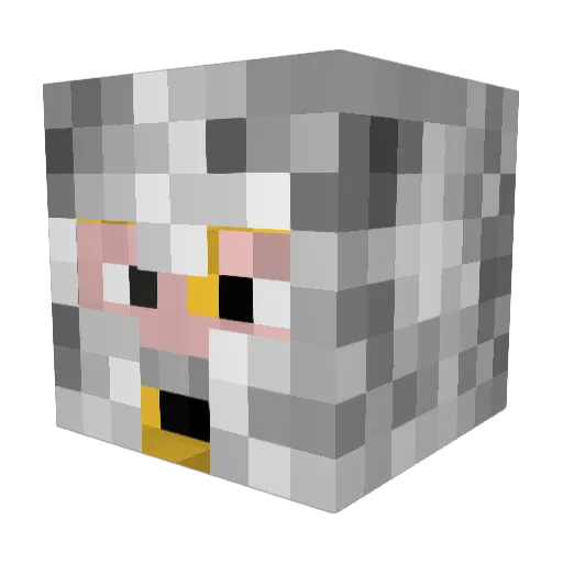FlameFjorge Minecraft avatar head, 3D render