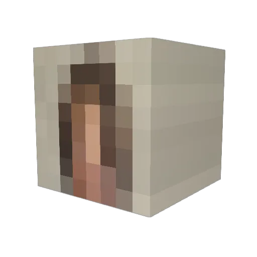 FlameG82 Minecraft avatar head, 3D render