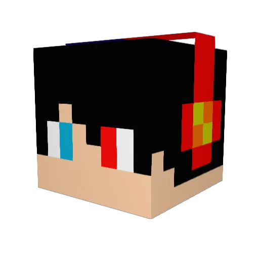 FlameLord2011 Minecraft avatar head, 3D render