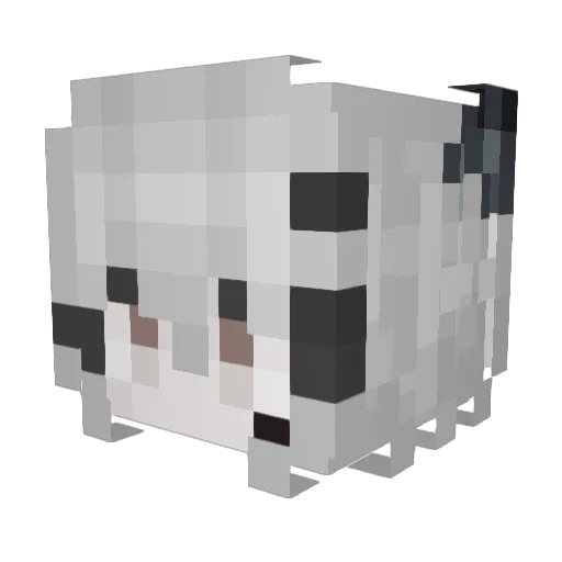 Flame_AshSword Minecraft avatar head, 3D render