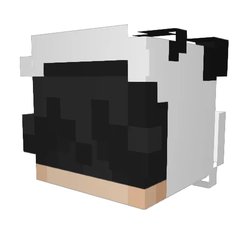 Flame_Flow Minecraft avatar head, 3D render