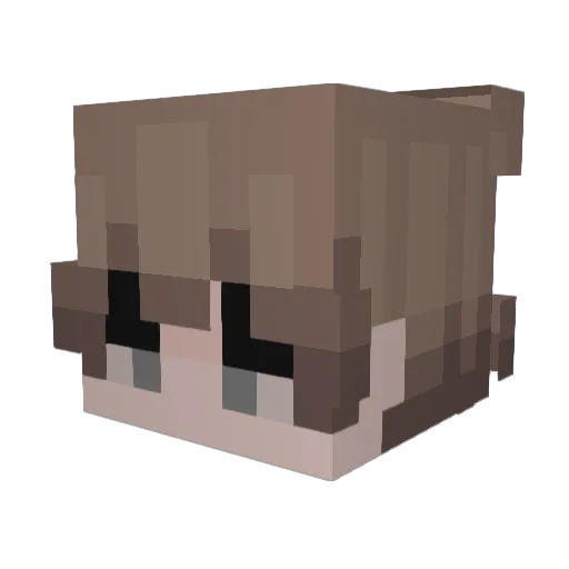 FlameingDragon51 Minecraft avatar head, 3D render