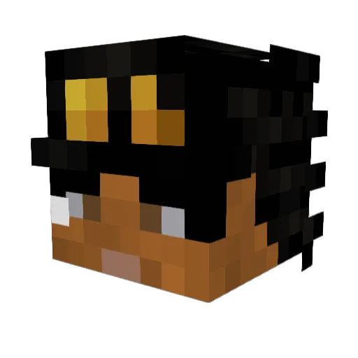 Flamesamurai791 Minecraft avatar head, 3D render