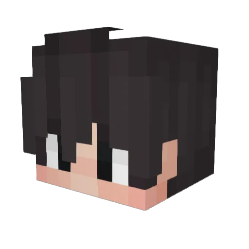 Flameusz Minecraft avatar head, 3D render