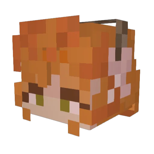 Flamex123 Minecraft avatar head, 3D render