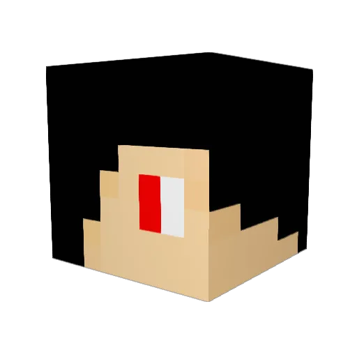 FlamingArrow01 Minecraft avatar head, 3D render
