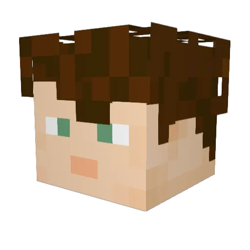 FlamingBats16 Minecraft avatar head, 3D render