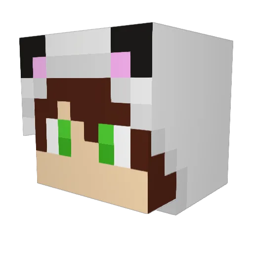 FlamingCookie Minecraft avatar head, 3D render