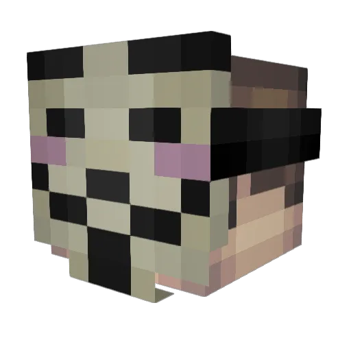 FlamingGecko30 Minecraft avatar head, 3D render
