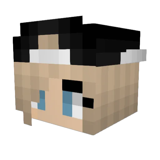 FlamingHob0 Minecraft avatar head, 3D render
