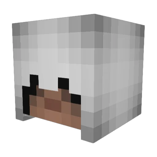 FlamingPheanix Minecraft avatar head, 3D render