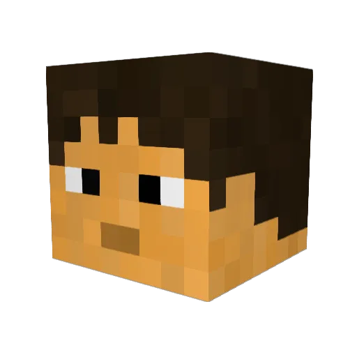 FlamingSeagull Minecraft avatar head, 3D render