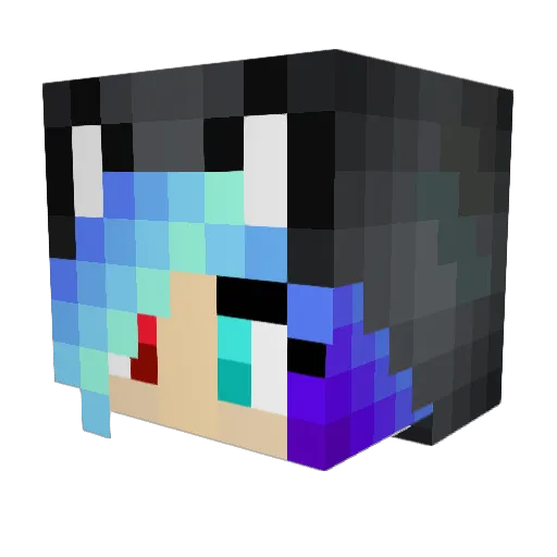 Flaming_LN2 Minecraft avatar head, 3D render