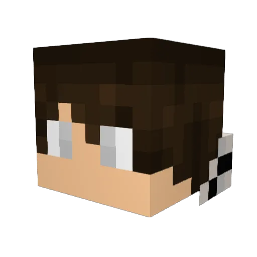 Flaming_Lion_15 Minecraft avatar head, 3D render