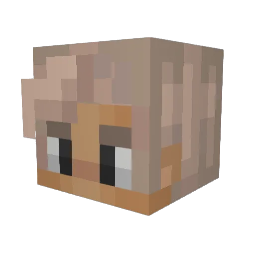 Flaminghamm Minecraft avatar head, 3D render