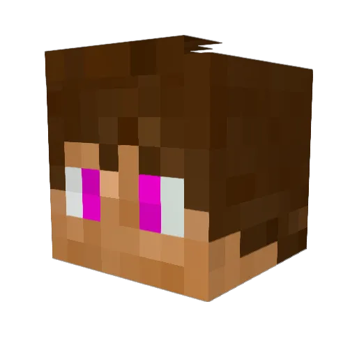 FlamingoFeathers Minecraft avatar head, 3D render