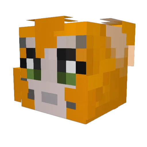 FlamingoNoodle Minecraft avatar head, 3D render