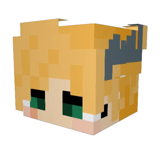 Flamingrose106 Minecraft avatar head, 3D render