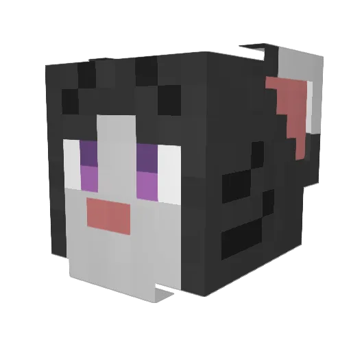 FlammTay Minecraft avatar head, 3D render