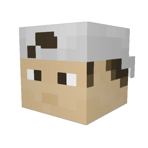 Flampok Minecraft avatar head, 3D render