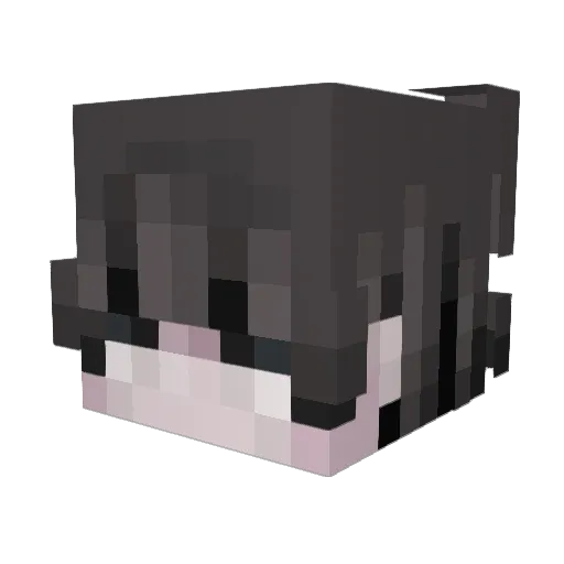 Flaniel123 Minecraft avatar head, 3D render