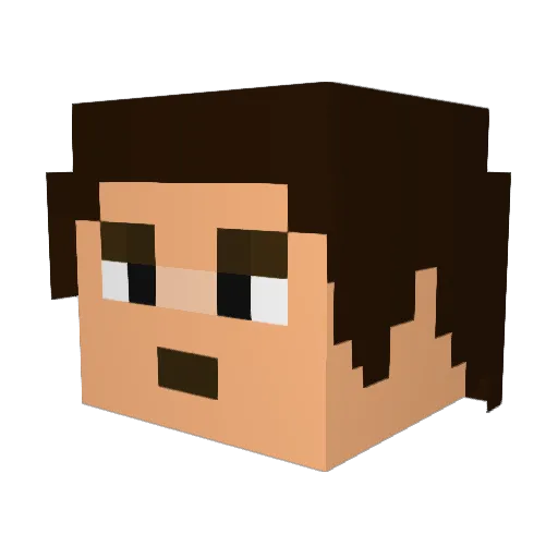 FlapJack707 Minecraft avatar head, 3D render