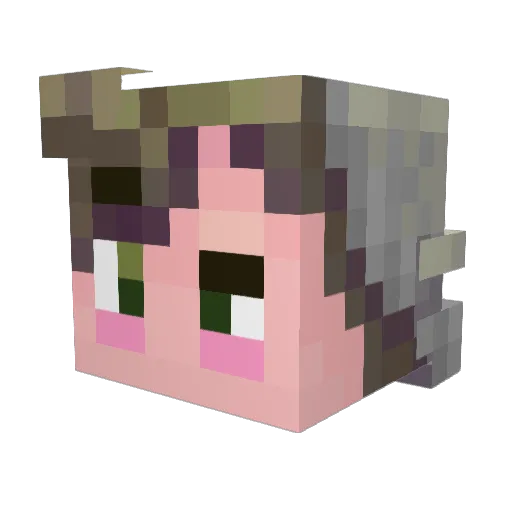 FlapJake Minecraft avatar head, 3D render