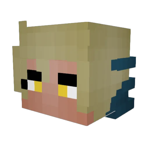 Flapjack_13 Minecraft avatar head, 3D render