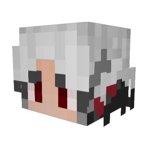 Flapjacks4492 Minecraft avatar head, 3D render