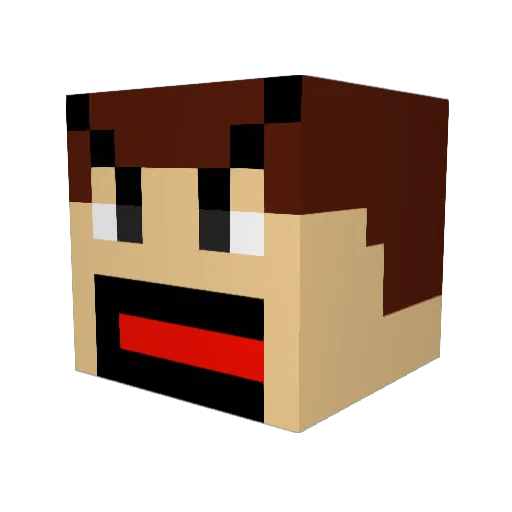 FlappyBirdPvP Minecraft avatar head, 3D render